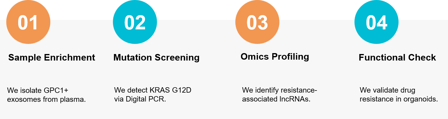 Pancreatic cancer exosome research workflow.