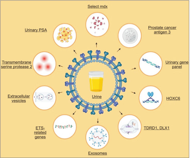 Prostate Cancer Exosome Research Services