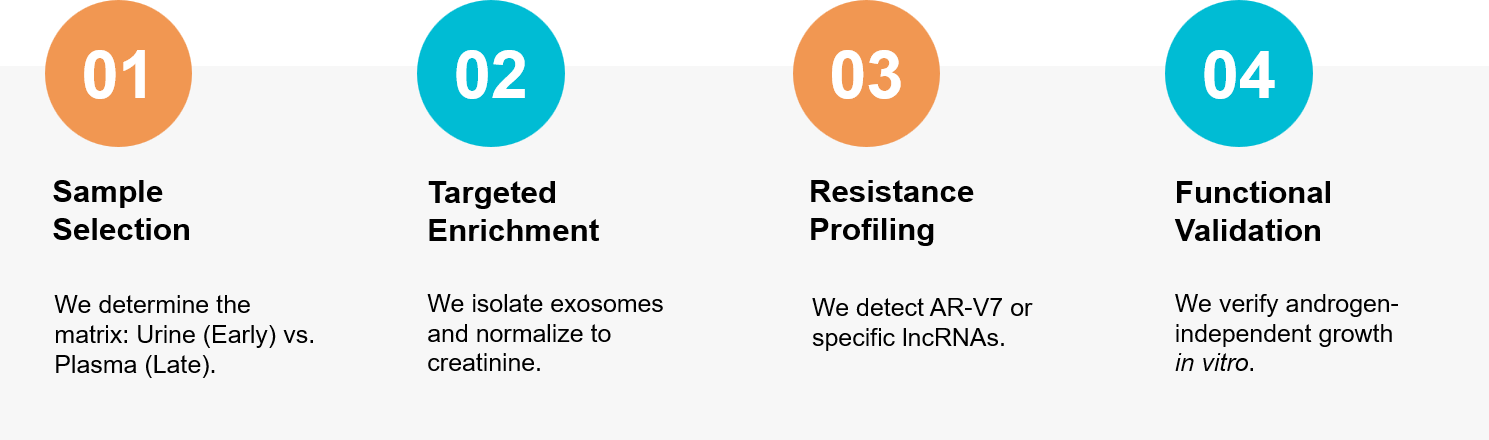 Prostate cancer exosome research workflow.