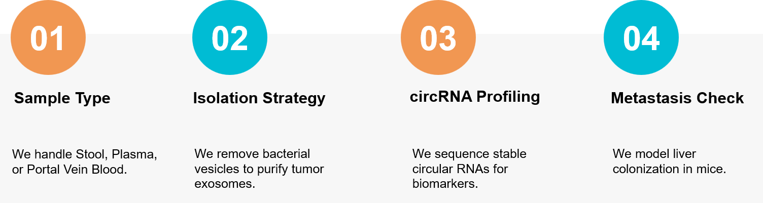 Colorectal cancer exosome research workflow.