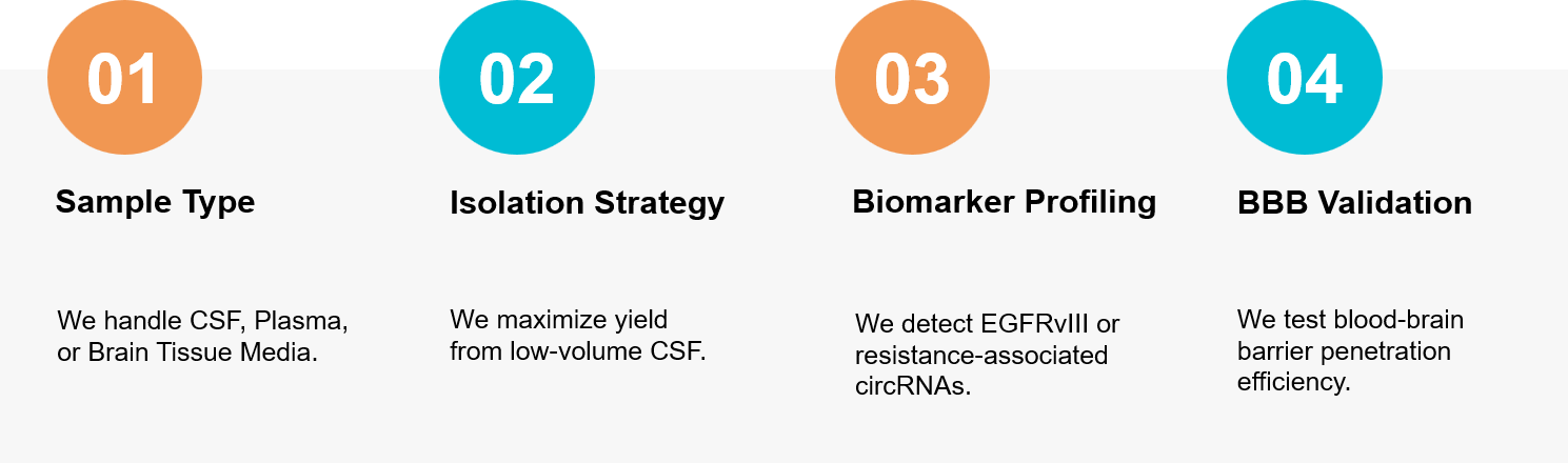 Glioblastoma exosome research workflow.