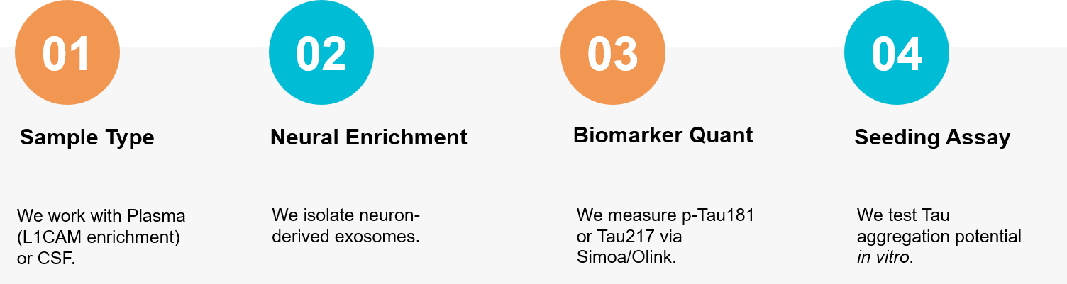 Alzheimer's exosome research workflow.