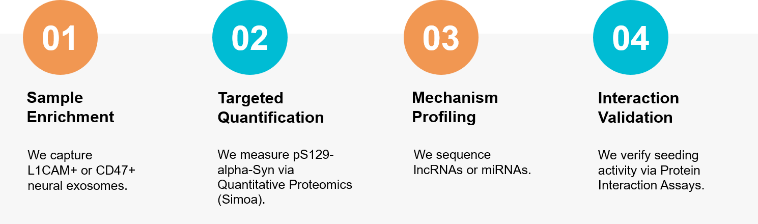Parkinson's exosome research workflow.