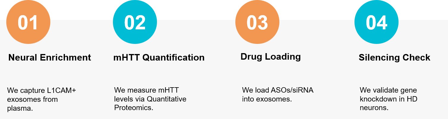 Huntington's disease exosome research workflow.