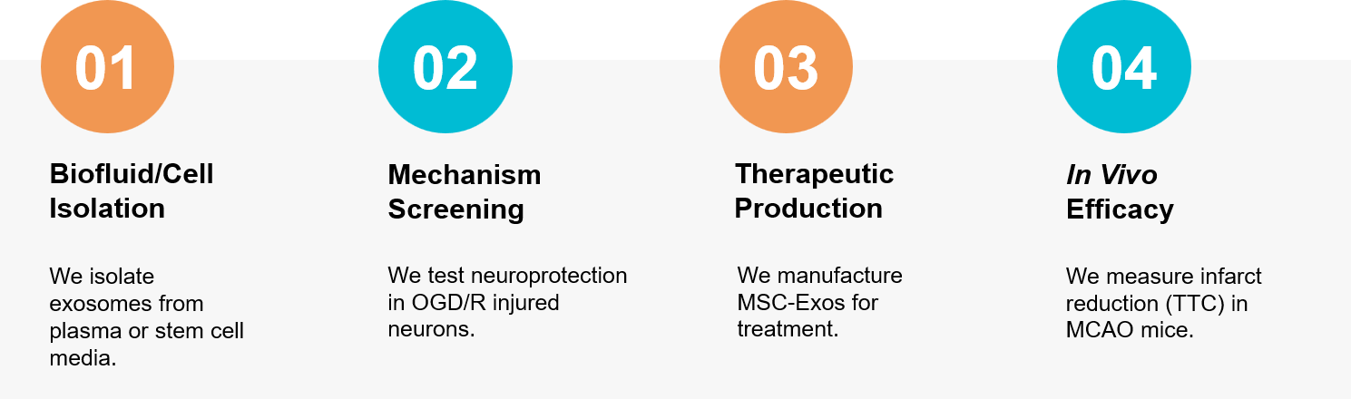 Stroke exosome research workflow.