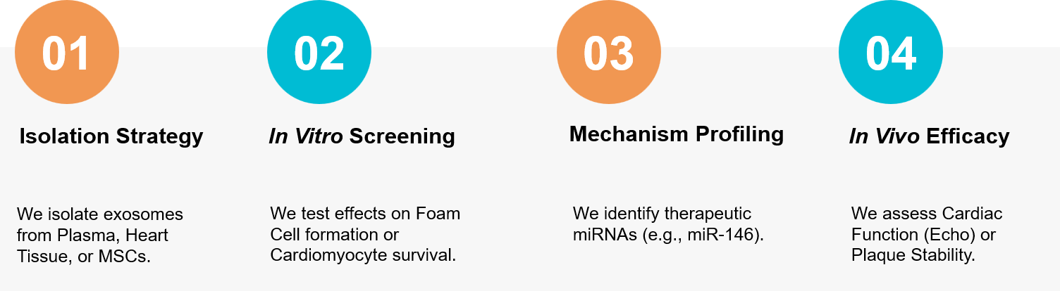 Cardiovascular exosome research workflow.