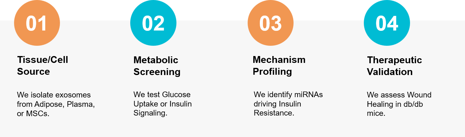 Diabetes exosome research workflow.