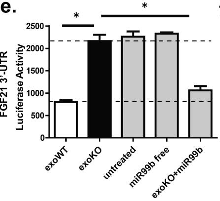 Exosomal miRNAs regulating hepatic FGF21.