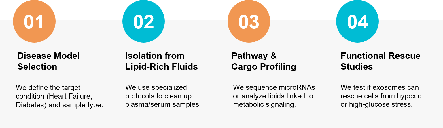 Cardiovascular and metabolic exosome research workflow.