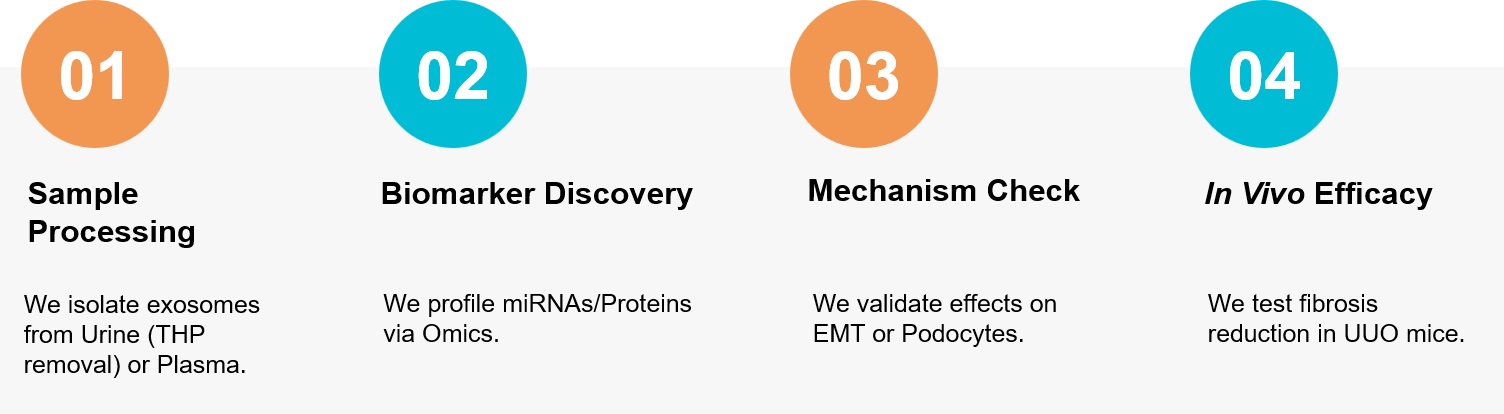 Kidney disease exosome research workflow.