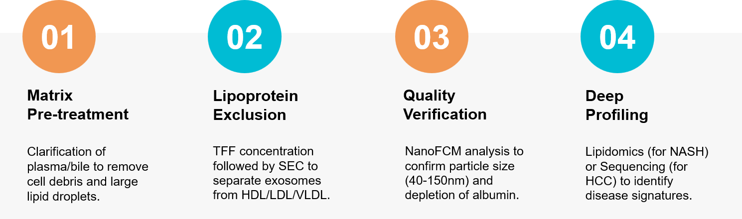 Liver disease exosome research workflow.