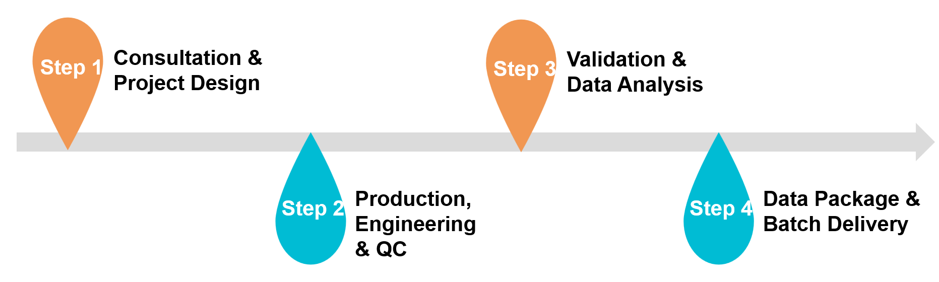 Workflow of exosome solution.