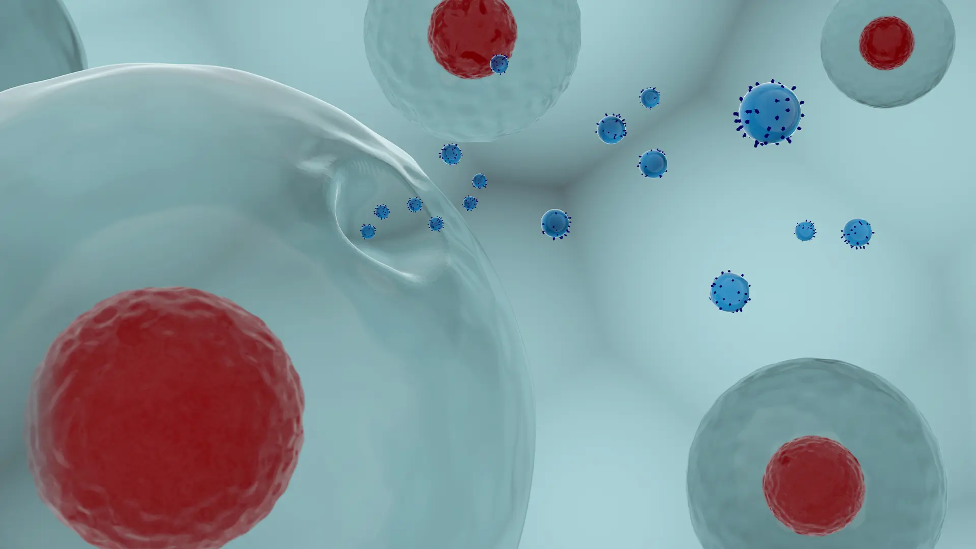 Exosome Characterization and Analysis Services for Reliable Research Outcomes