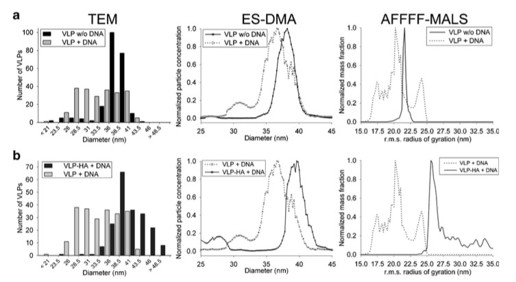 AFFFF-MALS for Mempro™ Virus-like Particles (VLPs) Characterization 