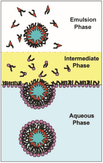 High-throughput X-ray crystallography for fragment based drug design