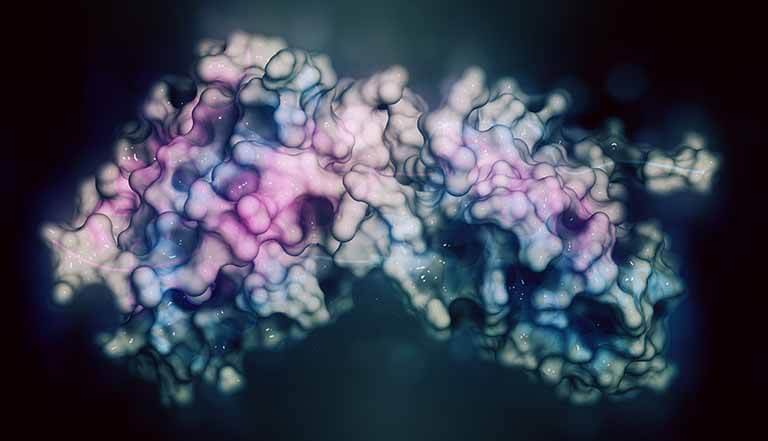 Protein Structure