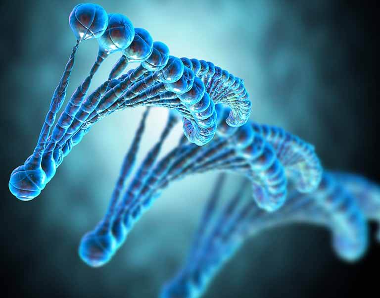 Nucleic Acid Structure