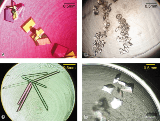 Collage of Crystallization Results from Small-Scale Batch Experiments