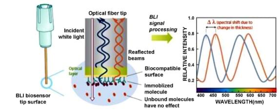 MagHelix? Bio-layer Interferometry (BLI) Technology