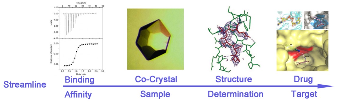 Analysis and Control of Protein Crystallization Using Short