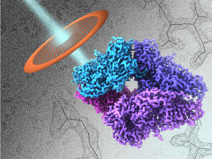 Biological tissue Cryo-EM service