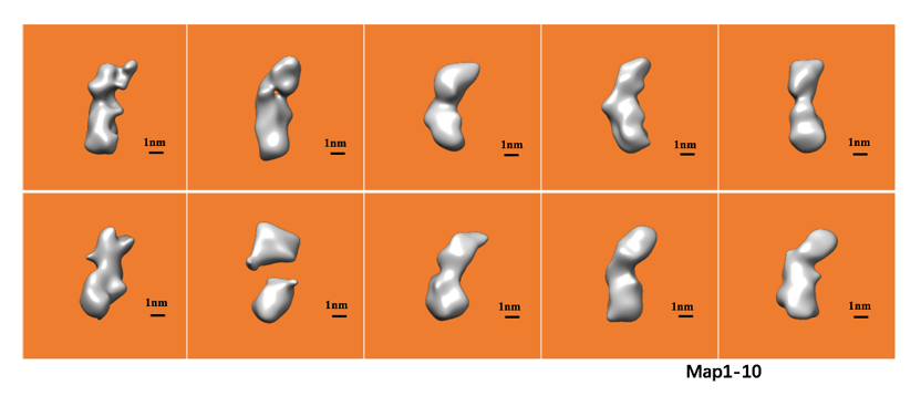 3D classification of DNA sample using cryo-EM