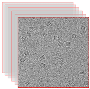 Single Particle Analysis (SPA)