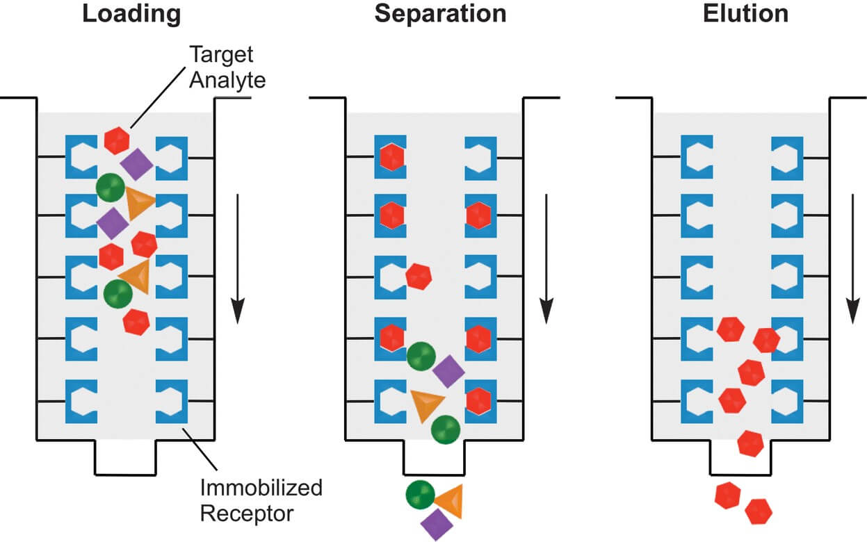 Custom Affinity Chromatography Service