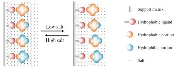 Custom Hydrophobic Interaction Chromatography Service