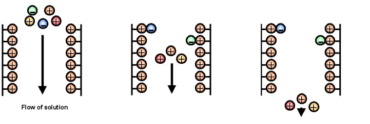 Custom Ion-Exchange Chromatography Service