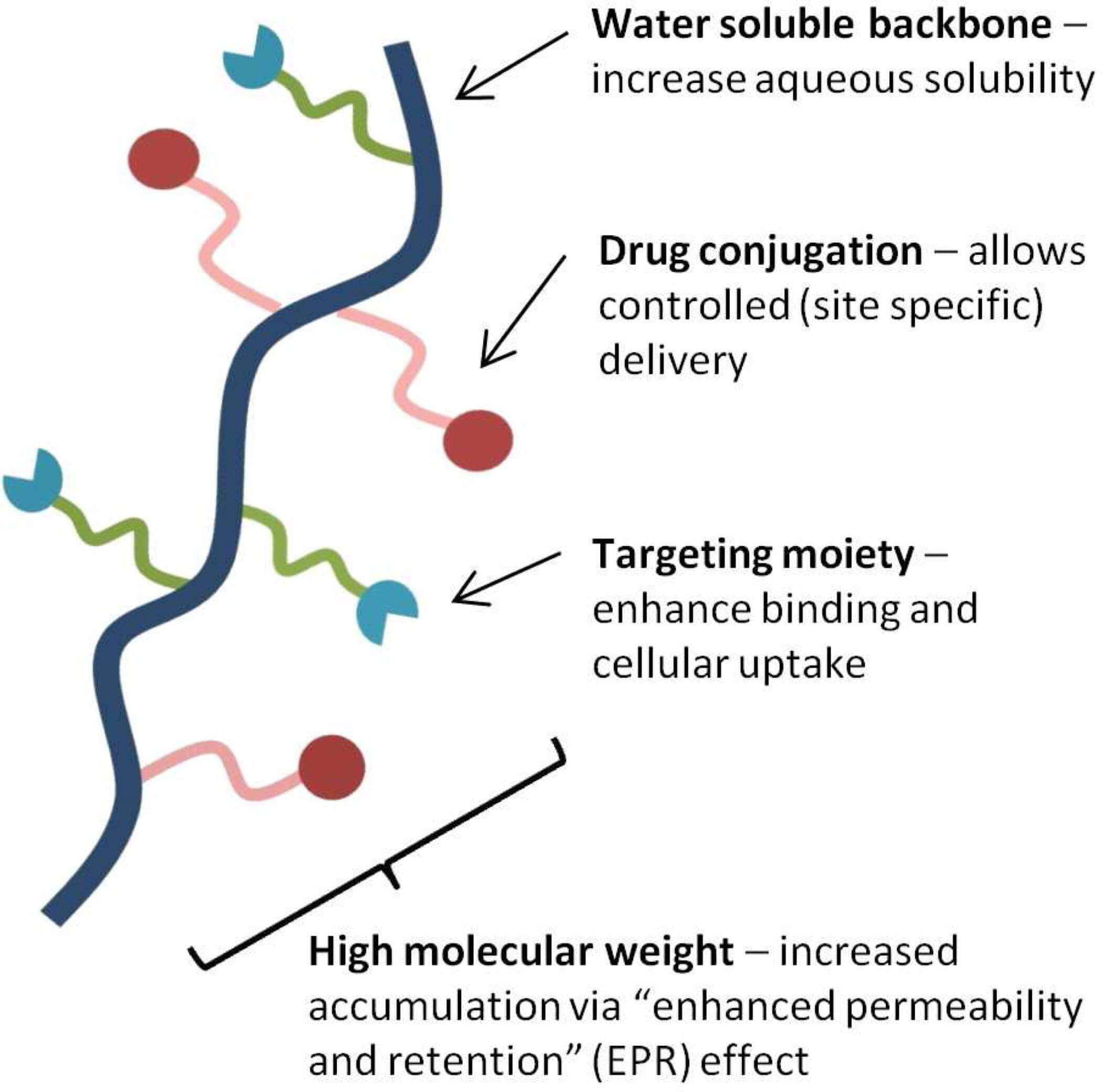 Rationale  for drug delivery via polymer-drug conjugates