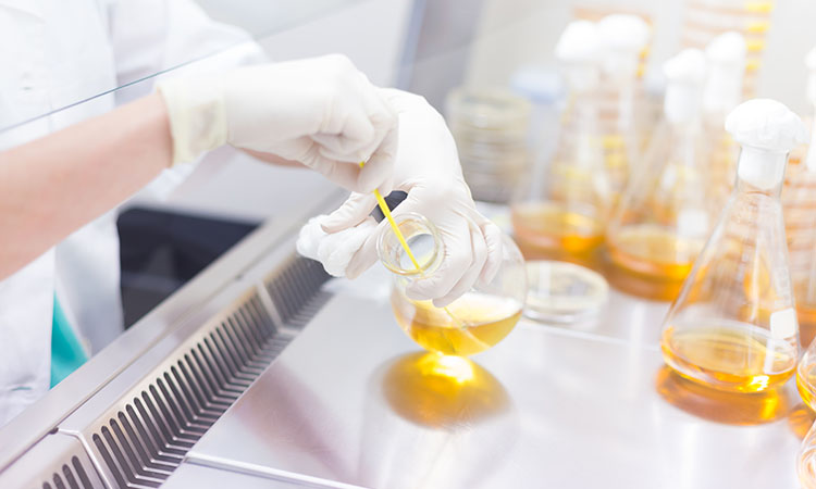 Custom Protein Production