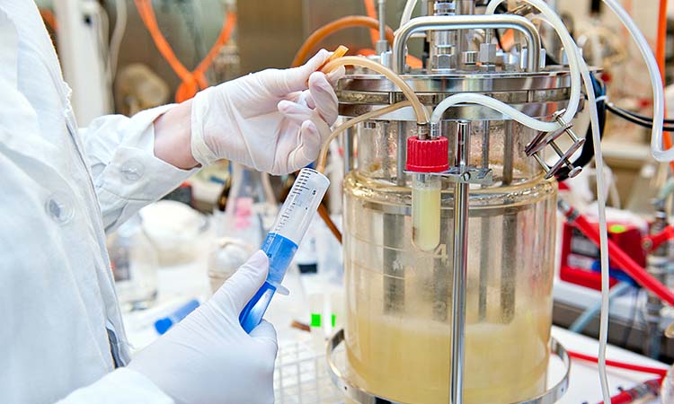 Protein Process Development and Manufacturing