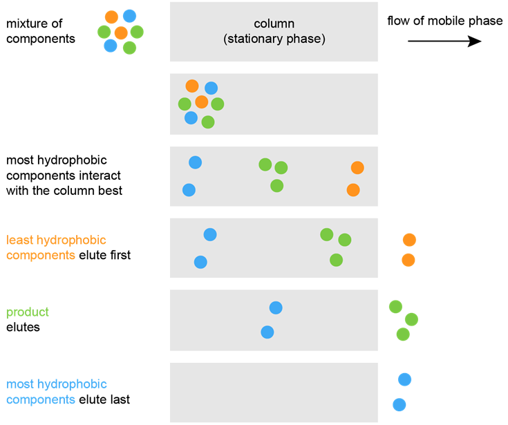 Custom Reversed Phase Chromatography Service