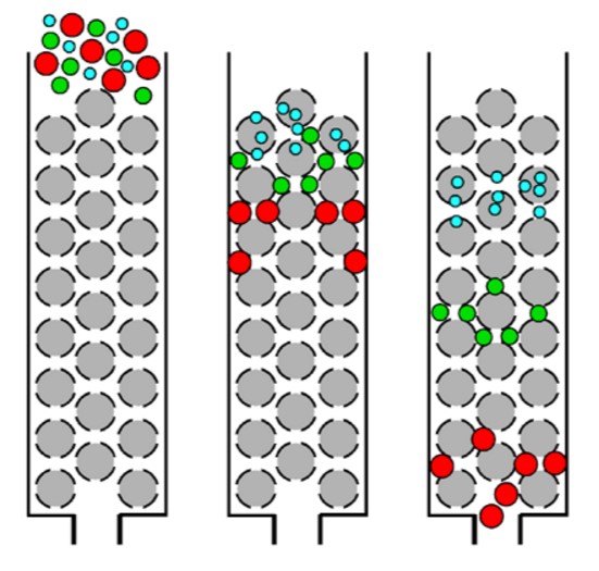 Custom Size-Exclusion Chromatography Service