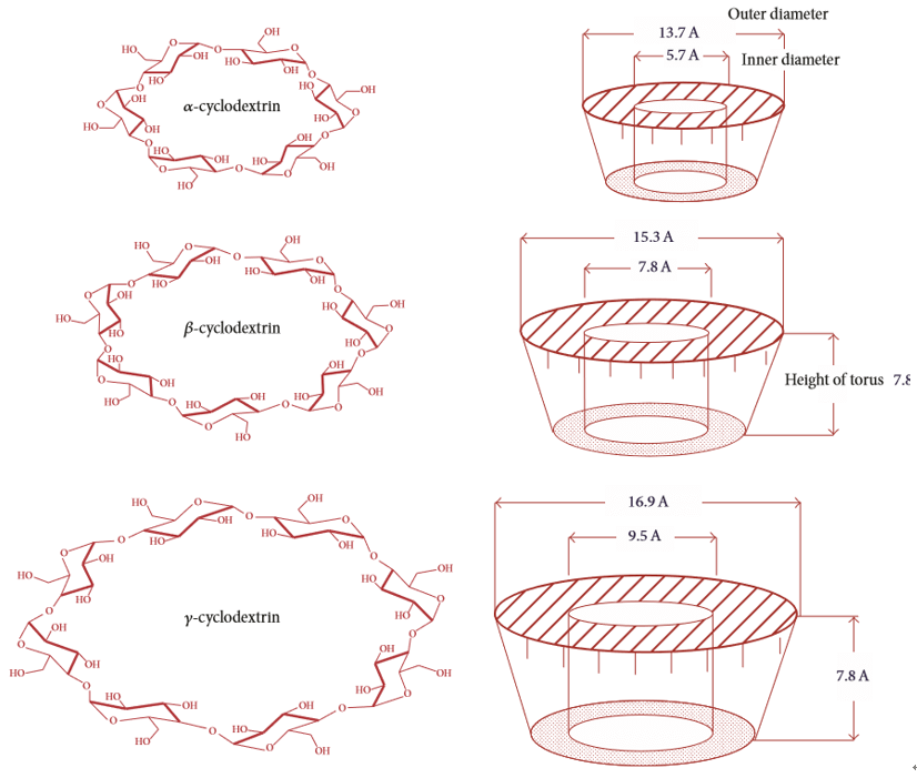 Structure and conformation of natural cyclodextrins.