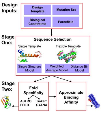 General workflow of <em>De Novo</em> Design  strategy