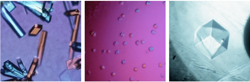 Integral membrane protein crystals diffracting to 4 to 14 Å maximum resolution.