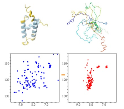 Figure 2. NMR spectra of a protein in its folded and unfolded states