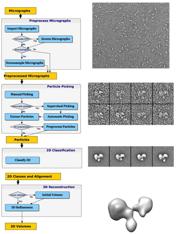 EM data processing and analysis