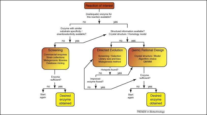 Enzyme Engineering