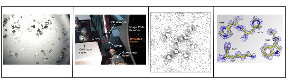 Epitope mapping using X-ray crystallography method