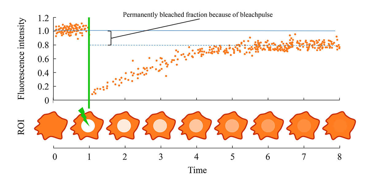 Circular Dichroism Spectroscopy Service