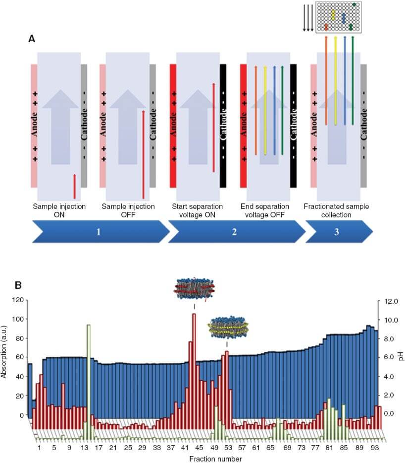Figure 1. Free flow IZE for the separation of nanodiscs. (Justesen, B. H. 2014)