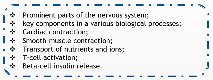 Functions of Ion Channels