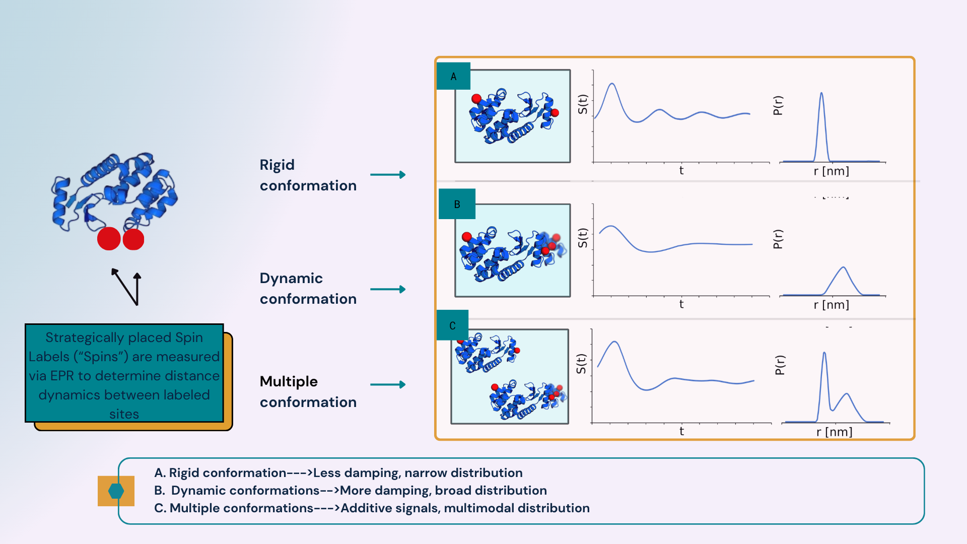 EPR distance distributions