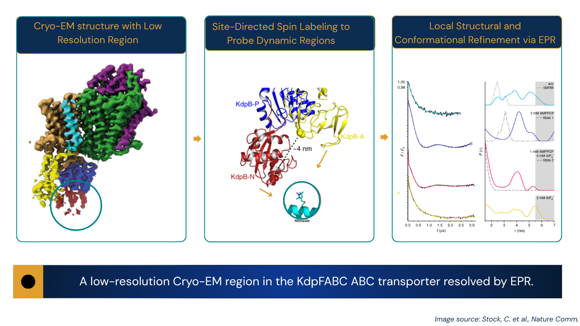 Cryo-EM structure resolved by EPR spectroscopy