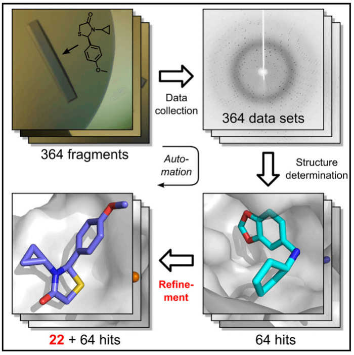 High-throughput X-ray crystallography for fragment based drug design