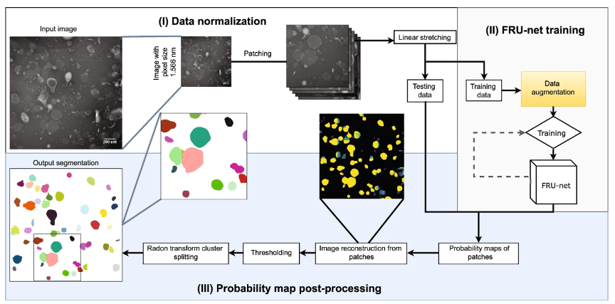 Image and Data Analysis