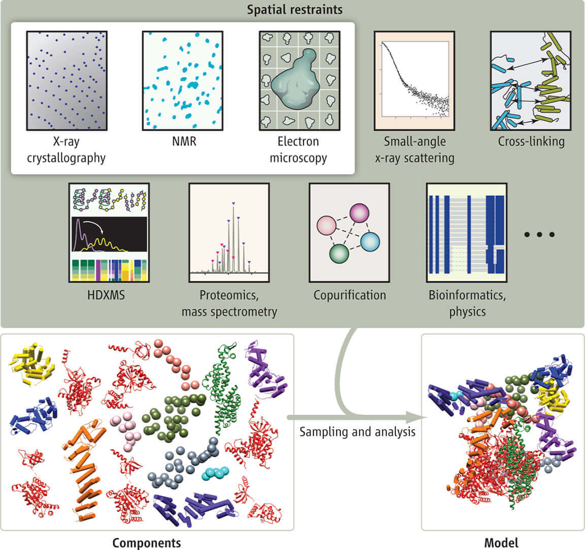 Integrative Structural Biology Services